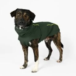 THE DOG IDEA Regenmantel Duke Oliv XXXS -Ruffwear Magasin 02afa769d31b57488c2d6ad6ebfaf7cf491d543b 1472982 de DE 64557359b1954a78585705410ad9c938f92b5befQTcb4l