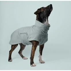 THE DOG IDEA Bademantel Every Mint XXS -Ruffwear Magasin 032e0f4ed2960fe1ec8d23c29c7dbfc26d3247bf 1472965 de DE f6c72edc1da0f5adb9e6002c5c950ed915d74029iHSeEf