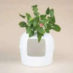 RHR Quality Katzentoilette Flower XXL -Ruffwear Magasin 045c34da52ea42a8ca93faa0ffc4384eb81e7dd2 1641853 de DE 9141ae2b51dfaf3b5b7cf3a1ab485e45a4e63ee0Obqwe6