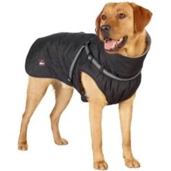 Dogs Creek Outdoormantel Steel 26 Cm -Ruffwear Magasin 04b21e219d37843fc83191c274970363ecdbe23f 1338662 de DE DC Mantel Steel.3