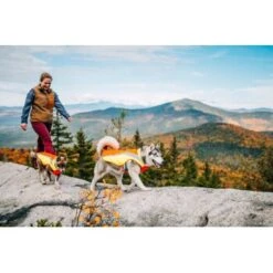 Ruffwear Lumenglow™ High-Vis Hundejacke Orange XL -Ruffwear Magasin 055f8ec457e40b7d33e9c275c20ea79bae1e006a 1378153 de DE e8b1f6094bc39d07bc90bd4fe7fc0806cf22bedaBId7iB