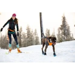 Ruffwear Cloud Chaser™ Hundejacke Schwarz XXS -Ruffwear Magasin 06cfa3a745821d84428a1de78da0089ce33c0271 1369623 de DE 87163fc3e147e303fdf97d4ab87fd720c4f34a96nSWmMF