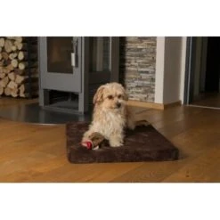 TrendPet VitaMedog Braun Für Comfort Wagon M -Ruffwear Magasin 07405e86602560ced1163a302f3d59312e92dc7c 1496697 de DE 71ee9fdb56c876f05b02661e6329cb242daeb80b6BTUU0