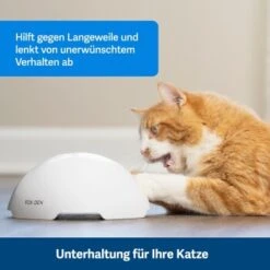 PetSafe Automatisches Katzenspielzeug Fox Den -Ruffwear Magasin 08408a2d9006c3b10c605053b082403622980ada 1351524 de DE 8502feb5da21e0ab937dc8c82ecaeac4aebee886lllVcE