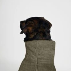 THE DOG IDEA Bademantel Every Khaki XXXS -Ruffwear Magasin 08d4ec498c585cdadfada6a4c3297d6f4c28d816 1473018 de DE 537902d50a13ec441ccfea84817fdb2f9ffb8d39pqXbmK