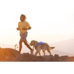 Ruffwear Trail Runner™ Weste Blau XS -Ruffwear Magasin 0b5b007ea11304fa0e12a2aa87d6cc6d6e6417b8 1639640 de DE dd2f81006cc91bb9a3794f38bc8a64c6efb41dd51MouDb