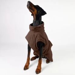 THE DOG IDEA Bademantel Every Braun XXXS 12 THE DOG IDEA Bademantel Every Braun XXXS -Ruffwear Magasin 14ecf5117c3eabbbec9278cf556e97a76ccfaa55 1473036 de DE 3a97ae3ef1a337b95aff8c1bcccce5d09d2183a4SxAHAK