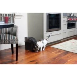 PetSafe Simply Feed Futterautomat -Ruffwear Magasin 162adf6a7738d5bf21e1a8f543a00d8bc113bc69 1239482 de DE b44f850e1b411ed2fa4a4391f952beef1a1d7530wtxP0K