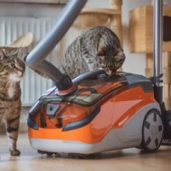 THOMAS AQUA+ Pet & Family -Ruffwear Magasin 21e8e8518abc51c946ca914e90765288e3a69832 1408595 de DE b89bf30d7c68d7291af3123da80a610e6c34da4duk7V17