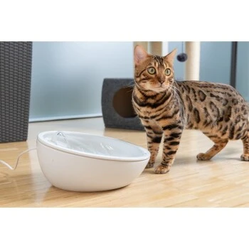 AniOne Keramik-Trinkbrunnen Waterfall Weiß Ohne Ersatzfilter 4 AniOne Keramik-Trinkbrunnen Waterfall Weiß Ohne Ersatzfilter – Bild 2