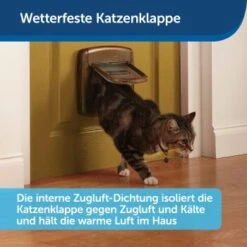PetSafe Staywell Deluxe Katzenklappe -Ruffwear Magasin 2439535b6b5c52e3495efca67417924dcc5267ca 1034170 de DE 620d42e1f28b26a99f1215294a23ca5c8f64c8b00mHBlY