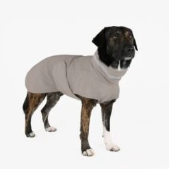 THE DOG IDEA Regenmantel Kayden Greige XXXS -Ruffwear Magasin 26e94b2819d39eebebb4da2e237a239e28fae7d4 1681330 de DE 05ad4e02821b193e1ef55613cb4c06a88e5f03eeC7wae5
