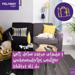 Feliway Help! 3x Nachfüllkartusche Zur Stressreduzierung -Ruffwear Magasin 29ae770ba9b7f1bf9cec9031f7a2f9aa2f9f9bf4 1380137 6