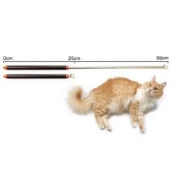 Schlitzohr Stabile Katzenangel Arnold 12 Schlitzohr Stabile Katzenangel Arnold -Ruffwear Magasin 2b03aaa8061d454c3b132f3d29075b579f022315 1484671 de DE 4db6a969e0582cf4b987acff93cb66c6c6149da6OAB1hx