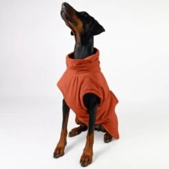 THE DOG IDEA Bademantel Every Steinrot XXXS -Ruffwear Magasin 2e931aa465dfb011549016260aaf15af0752cd70 1473054 de DE 15dccd37b84bb897625a5dad636eee6fc7a01d66znpQXe