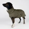 THE DOG IDEA Bademantel Every Khaki XXXS -Ruffwear Magasin 2f81960c41f4e679fcdc8e94124380381ccb3a92 1473018 de DE b22f3a0b04df058d32f5d0c58eea5d8f1b432be3RsM901