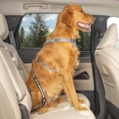 Kurgo Swivel Tether Hunde-Sicherheitsgurt -Ruffwear Magasin 307a4c5f050b6142fe4c665bdeaa3a0be0385ec3 1481164 de DE 8cf1d51712fee99749a185998fab0d1502a24f68v0gDmS