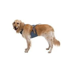 Ruffwear Auto-Sicherheitsgeschirr Load Up™ M -Ruffwear Magasin 3093b420ea874973a4896ceec07c49a8968d3fd1 1670640 de DE 10f6ab706b1f33e82246cce93c7d50d48e826c56cynWL4