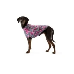 Ruffwear Climate Changer™ Fleece-Jacke Für Hunde Lila/ Grau XS -Ruffwear Magasin 31d08c48d82e56fa988a8efaad00ce115bf58a1e 1369648 de DE 0f7eaefedef9dc647cc2252d60c10845d7c68c4e58IpMU