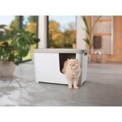 MORE FOR Katzentoilette XXL Titan 10 MORE FOR Katzentoilette XXL Titan -Ruffwear Magasin 331a65ecbdbda6a54304894f23caf93293414f9a 41a7dcb3b92b8da7531785b268f381c1b25bbf04