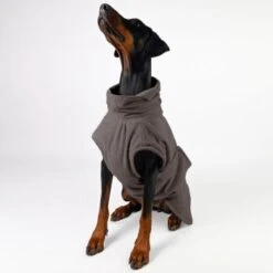 THE DOG IDEA Bademantel Every Taupe XXXS 13 THE DOG IDEA Bademantel Every Taupe XXXS -Ruffwear Magasin 33db6a274662d54a120eded68cbb0084aca2ab21 1473027 de DE 66449ce0cb21357c2081b9379bf434469bb71cdf7zBVD9
