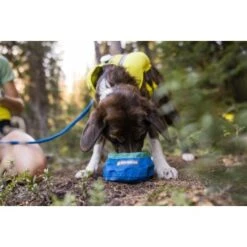 Ruffwear Trail Runner™ Napf 17 Ruffwear Trail Runner™ Napf -Ruffwear Magasin 379fe16a7a50c8e71290f739965451bab58f5404 1651571 de DE cc80a2ec211d680722d58d483cd6e35959c0ef22Kohbda
