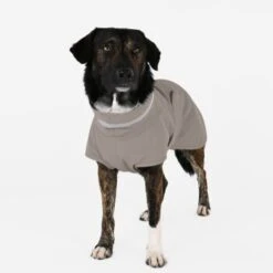 THE DOG IDEA Regenmantel Kayden Greige XXXS -Ruffwear Magasin 388f18a16f3ef46e42429e3e6998bdcc5f13c564 1681330 de DE d791f38b8115cb21794f155838f6af392f1bfe1bmdkikr