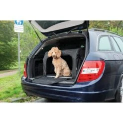AniOne Traveller S -Ruffwear Magasin 394e516e1caddf7d946360ef0a7ccad0e7fafa71 1367559 de DE AniOne Traveller wb 9