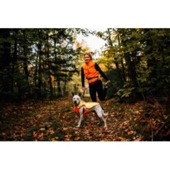 Ruffwear Lumenglow™ High-Vis Hundejacke Orange XL -Ruffwear Magasin 40663366cb362acd2f222531a6c489c5dd028940 1378153 de DE 6ea16c8681e07ff1404b1bde8c0b1b4ddb6fa478XOeqLy