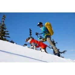 Ruffwear Furness™ Hundejacke Grau S -Ruffwear Magasin 4087147dd56ca23b69da19a23095df2e3fcf8a0d 1639614 de DE 93126a293d8b745c831f949261942ce96e13bb7etLLUVR