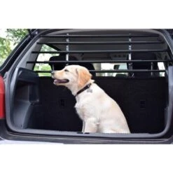 Dobar Walky Guard Plus: Schutzgitter Auto, Schwarz -Ruffwear Magasin 41d7ee2a9423085ba0393e76bd6d1d02fdbe063a 7911175c22f912220f235061668a79bcd2f2f350