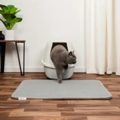 Lionto Doppellagige Katzenstreu-Matte L -Ruffwear Magasin 4396bb19d2c98d673f3e5360e11273f9f80f7fc7 1657012 de DE dff22ef02999533f13653cbf8dd630ba7757eabdQ8EdtB