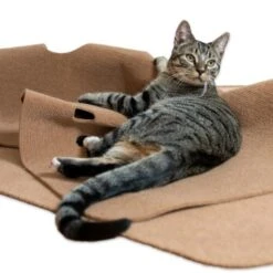 Canadian Cat Company Spielteppich Für Katzen Braun -Ruffwear Magasin 446d45749f5e58cb5a7dbc00eb3558dbe40784fe 1394213 de DE 80770b9625226d955903498b97e7018485822aeeDB3L2u
