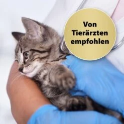 Felisept Home Comfort Beruhigungshalsband Für Katzen -Ruffwear Magasin 49f63f3eec6617dbc795d98ab15477ddca010d3a 1238279 de DE Felisept 2