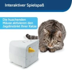 PetSafe Automatisches Katzenspielzeug Cheese -Ruffwear Magasin 4bf213762b84458348ad4dde222bccd0d8e6f0a8 1418723 de DE 66b781419c3a9a05dbaecf1b142c67f8ea6f21fbRLCfdd