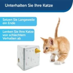 PetSafe Automatisches Katzenspielzeug Cheese -Ruffwear Magasin 4c112de7fe5af21942e197c5273a2c12e4aecd5f 1418723 de DE ac6350c5fa35502dd40d2834518255dfc3ab3dc68jakb9