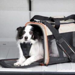 Kurgo Tragetasche Wander Carrier -Ruffwear Magasin 5f37eeacc6d94626562741806ff5b8f89f134e7e 1286389 2