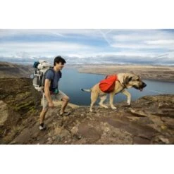 Ruffwear Palisades™ Hunderucksack S -Ruffwear Magasin 60c954f30ecabd55f38cc9da656fbb1052cc485b 1444346 de DE 32060bc2f2e11825f314b0e0ab3008d891806557N4p73H