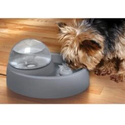 Numaxes Eyenimal Trinkbrunnen 1,5l 8 Numaxes Eyenimal Trinkbrunnen 1,5l -Ruffwear Magasin 612512ae3e55fd25731acfc2a0abcdc5bfeba8fb b7754bc2b320ccef10b70045a810474d6996a8cb