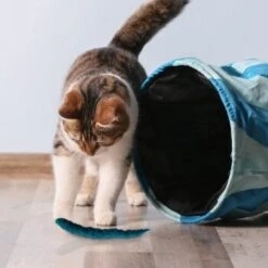 Kater Kasimir 3 Handgerollte Filzwürmchen Aus Schurwolle + 1 Mini-Flasche Katzenminze-Spray -Ruffwear Magasin 628f7d1d4ec1f70990cd24d861db16d7b447278c 1409266 de DE e1034005335ef5de37662c8ab367f77b33e0f5830ItxtL