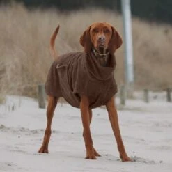 THE DOG IDEA Bademantel Every Braun XXXS 11 THE DOG IDEA Bademantel Every Braun XXXS -Ruffwear Magasin 62c517832f7f923b83b0a0ee681a77b2e33cc3c3 1473036 de DE 2393ef51979dd0191b0261c826741cb7543b7b3brAaZfV