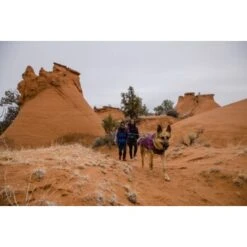 Ruffwear Overcoat Fuse™ Hundejacke Violett XXS -Ruffwear Magasin 63f0f6c2ce316cb05ad8327a81fc0693c061f7c9 1639761 de DE c1f94f51e318dc9402504b3760a5b7d8c990fb78cnSRrn