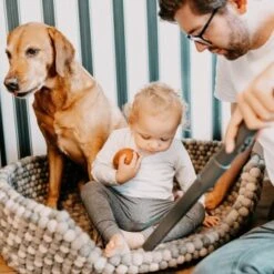 THOMAS AQUA+ Pet & Family Parquet Pro -Ruffwear Magasin 6a06a607313dbd894623286e7a98c7773a1034a3 1406735 de DE 19e0df3761ba1c9d0c13778d17fc55d12b702950RpbbLZ