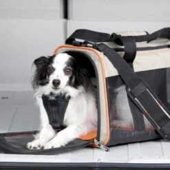 Kurgo Tragetasche Wander Carrier -Ruffwear Magasin 6ce3d4aba3fb047e995ae3cea4a0a0877e14c563 9554bce7b8a3b566d41ee9d3cf7ab48d568f3e72