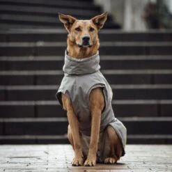 THE DOG IDEA Regenmantel Duke Greige XXXS -Ruffwear Magasin 6e94766435e0ee76deb96e14448408b91f0a4451 1472991 de DE 584dd93ca54aaa1360a81dd9d1f80b6546af5974nSN2ZF