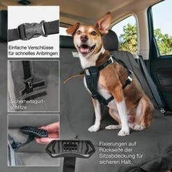 Kurgo Wander Rücksitz-Autoschondecke Hunde, Grau -Ruffwear Magasin 726d58caeb6842b9c196c6f8d2427b3ea95f6687 1335890 de DE 7a7d0411ff0f2559f049a99649829857b23e271c33vw1K