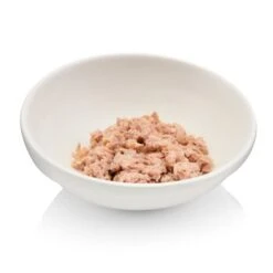 Canadian Cat Company Futterbar Cat Diner -Ruffwear Magasin 7374ea0a9e3fe9347681d73e38cfddf88778c4d9 1345694 de DE 736a30d8934edf90c8b01e1b34a29dff5e81dab2o6VK2t