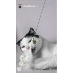 Kater Kasimir Premium Katzenangel Mit 4 Handgemachten Anhängern Aus Naturmaterial -Ruffwear Magasin 770b4a4773ed49d435287f5ac0f03f94a117604e 1408150 de DE d77919138410a09ab67416f25ec15e6664e9d2ac4JZFQJ