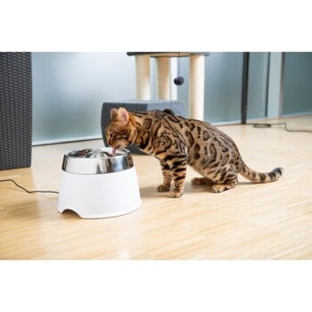 AniOne Edelstahl-Trinkbrunnen Trevi Ohne Ersatzfilter 5 AniOne Edelstahl-Trinkbrunnen Trevi Ohne Ersatzfilter – Bild 3