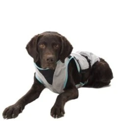 Trovet Suitical Kühlweste Dry Cool M -Ruffwear Magasin 7c6cb463b1c403c67dd5b0537c226320cd47afee 1321386 de DE Trovet suitical 5 Kopie